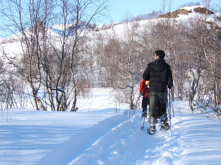 Sneeuwschoenen Lofoten