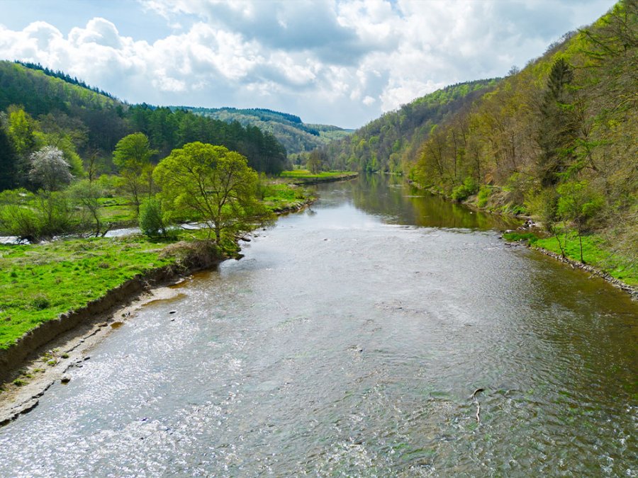 Natuur in het zuiden van de Ardennen Natuur in het zuiden van de Ardennen