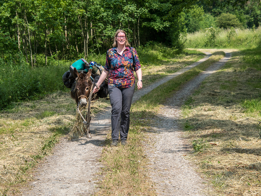 Wandelen met ezel