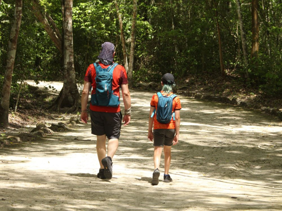 Pad Calakmul