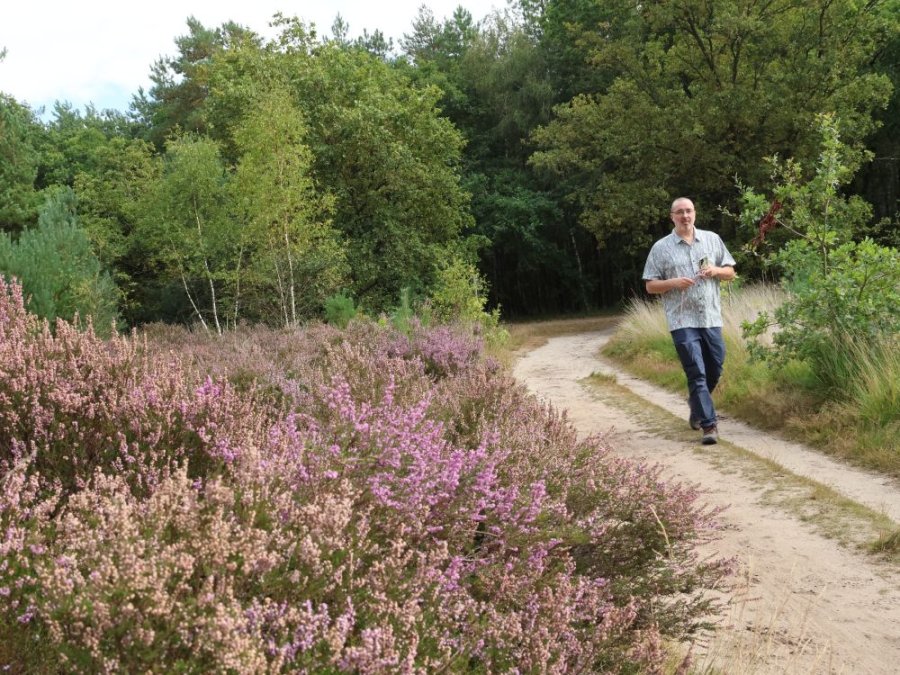 Cartierheide Cartierheide