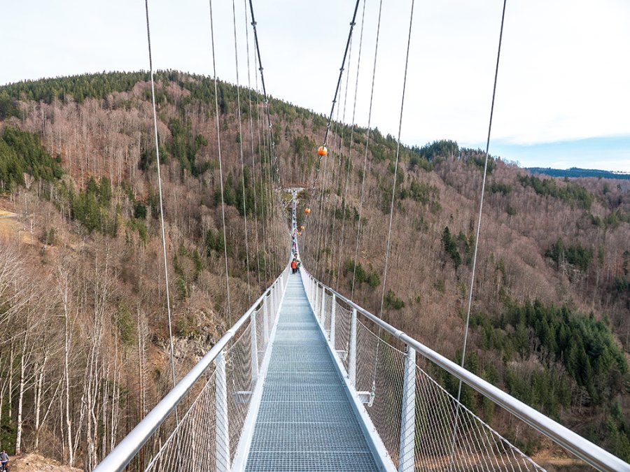 Blackforestline Blackforestline