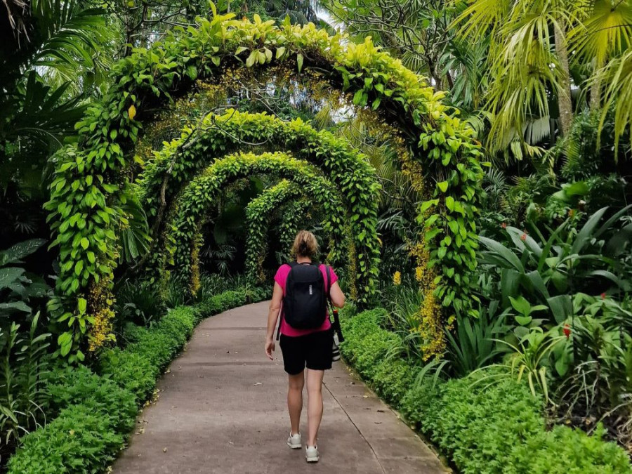 Botanische Tuinen Botanische Tuinen