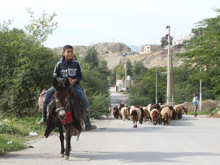 Bedoeïnen Jordanië