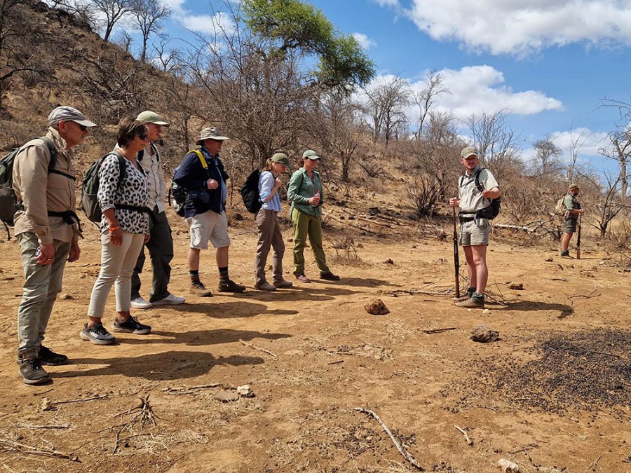 Wandelsafari in groep