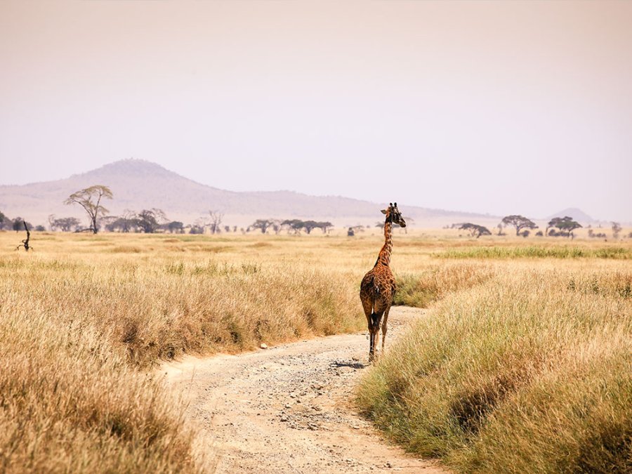 Roadtrip door Tanzania met Travelbase