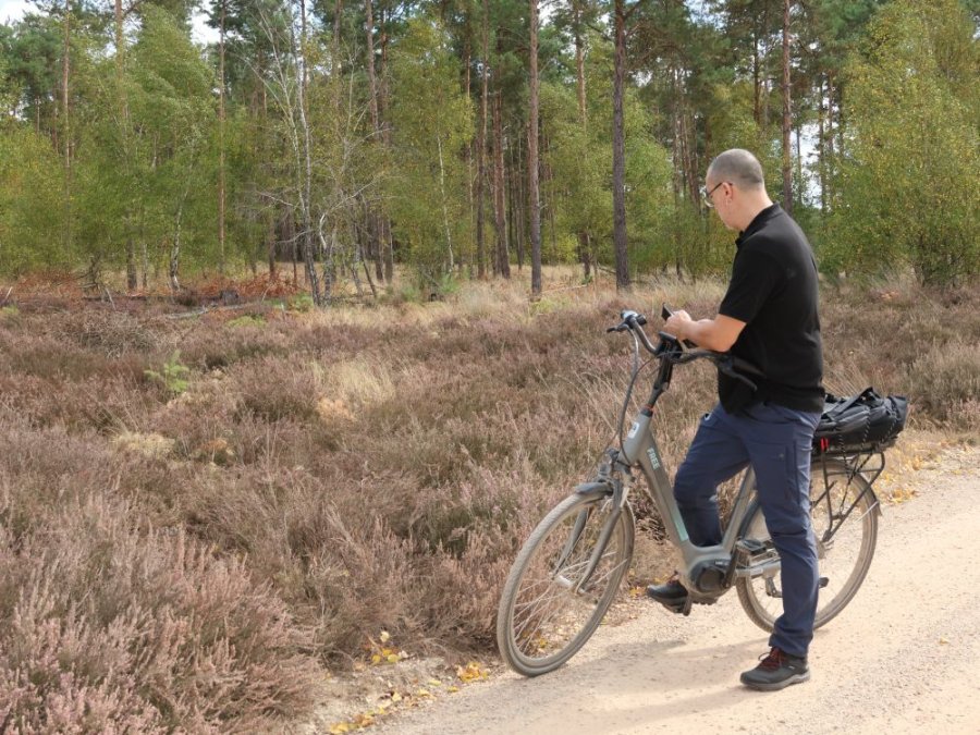 Fietsen op de hei