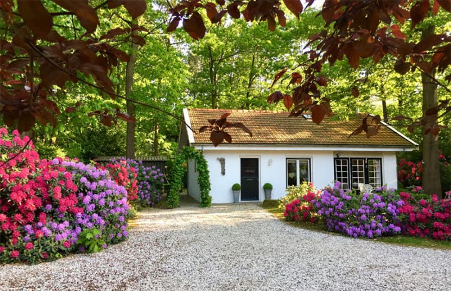 Vakantiehuisje aan het Pieterpad Vakantiehuisje aan het Pieterpad