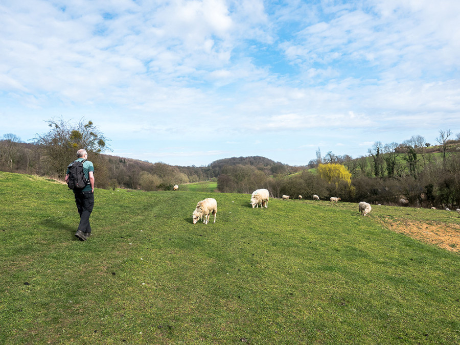 Wandelen Noorbeek