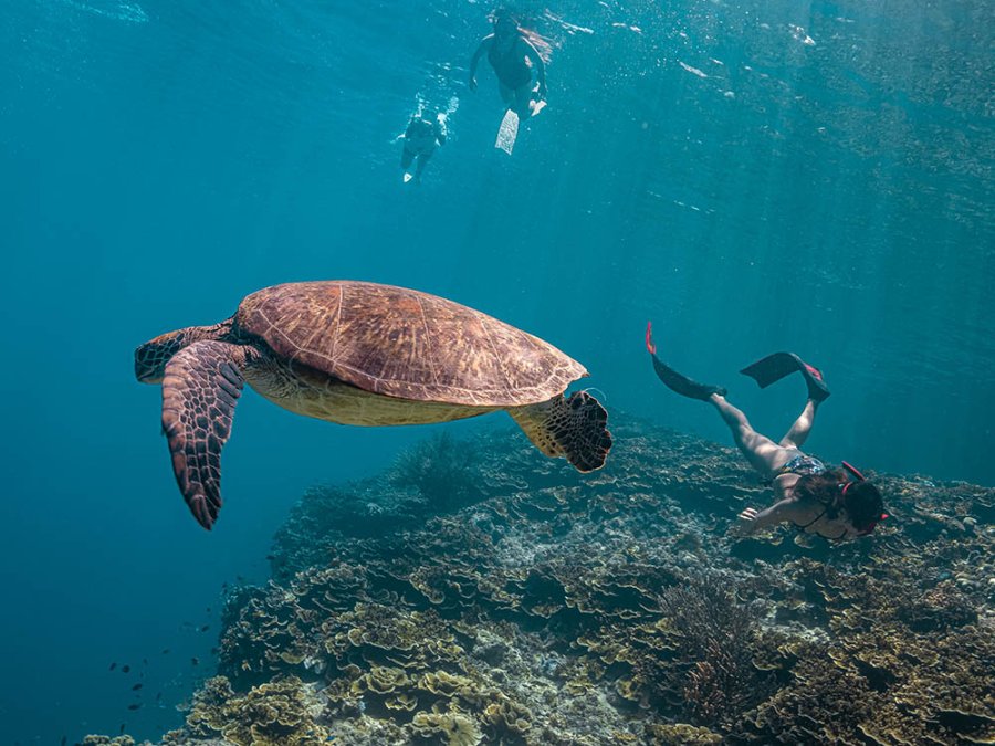 Pescador Island Pescador Island