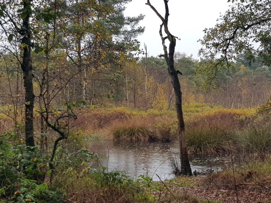 Van Goghroute Tilburg