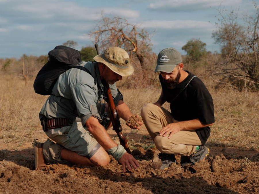 Tekenen van wilde dieren