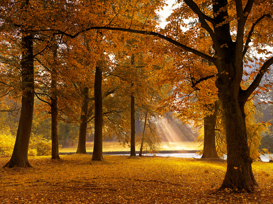 Stadspark Groningen