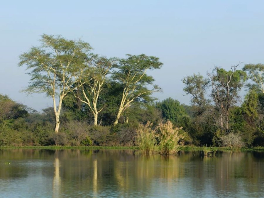 Liwonde natuur