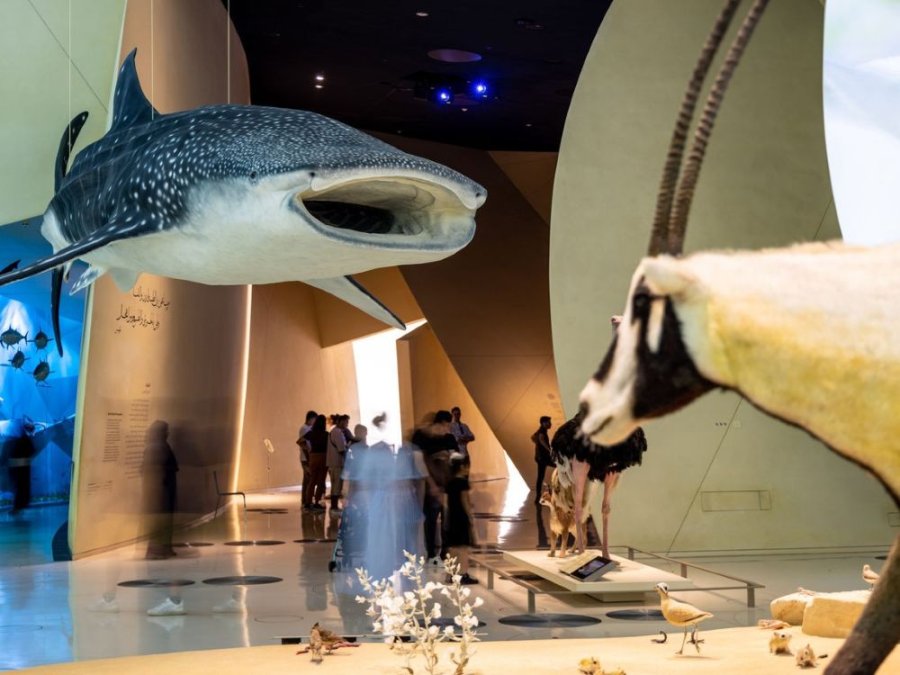 National Museum Qatar National Museum Qatar