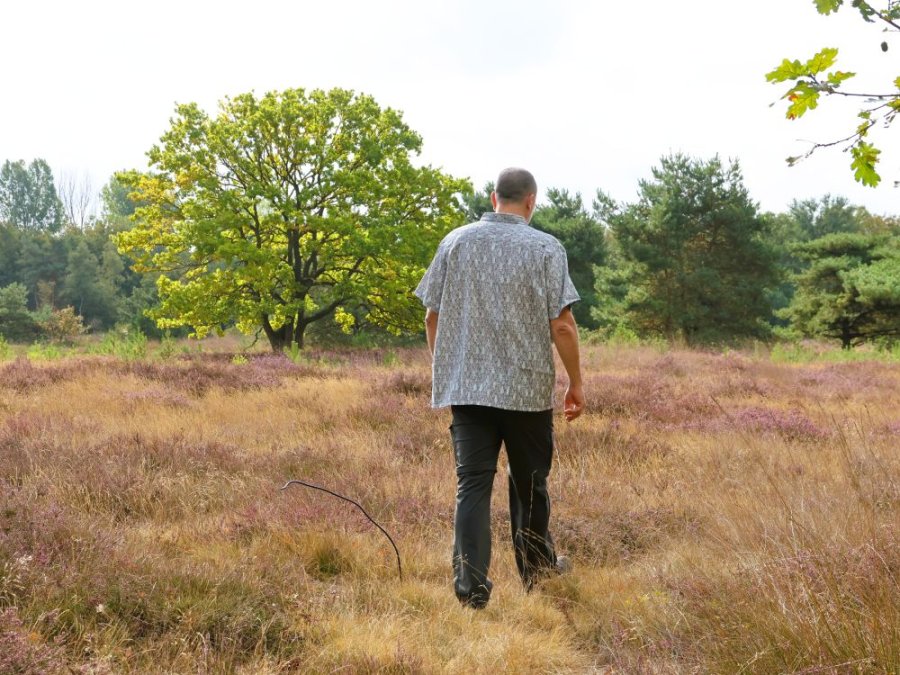 Wandelschoenen