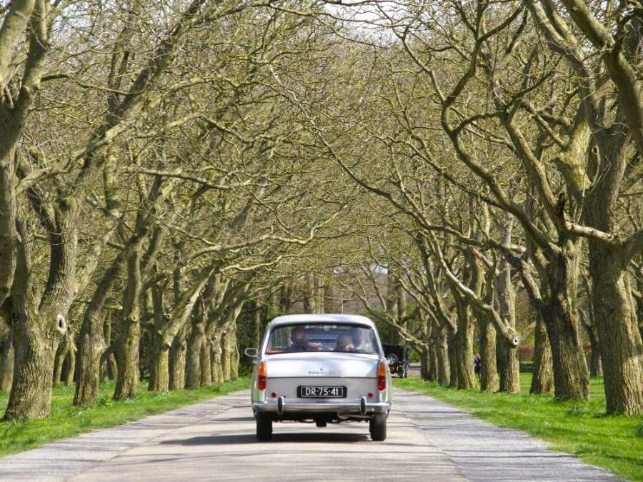 Betuwe roadtrip