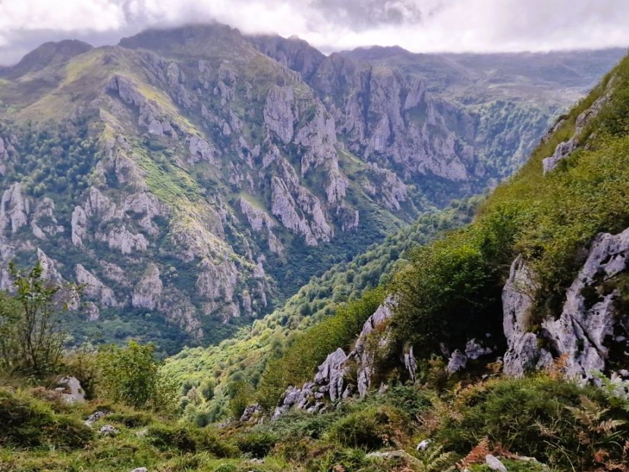 Dal Pandescura