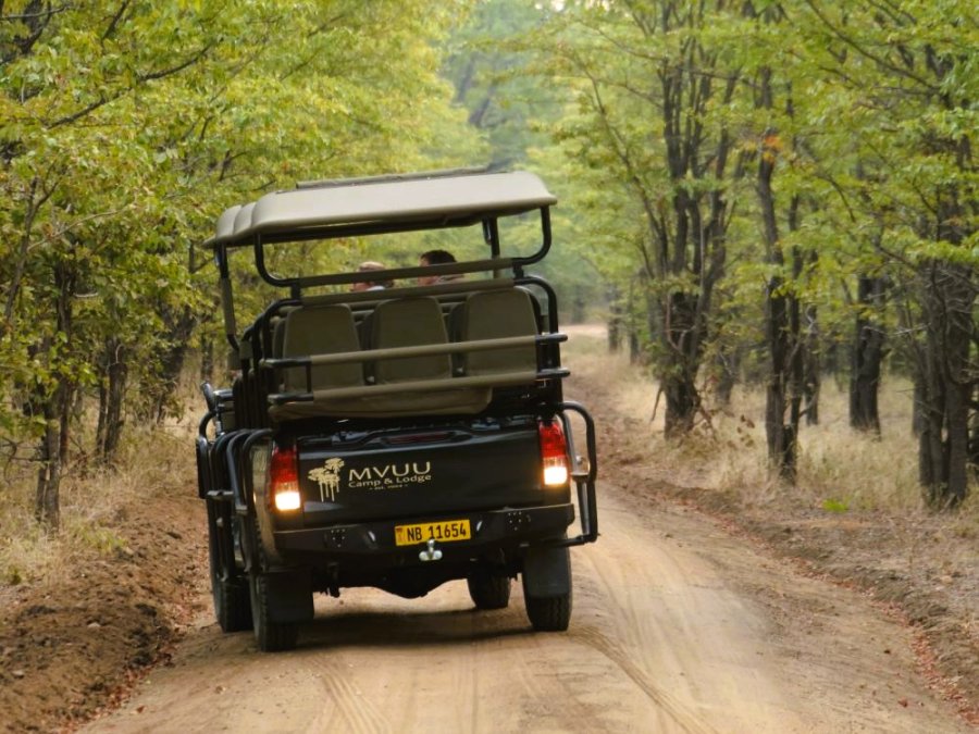 Liwonde safari