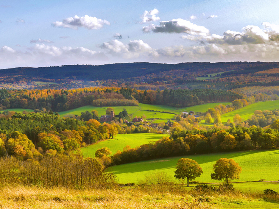 Surrey Hills AONB