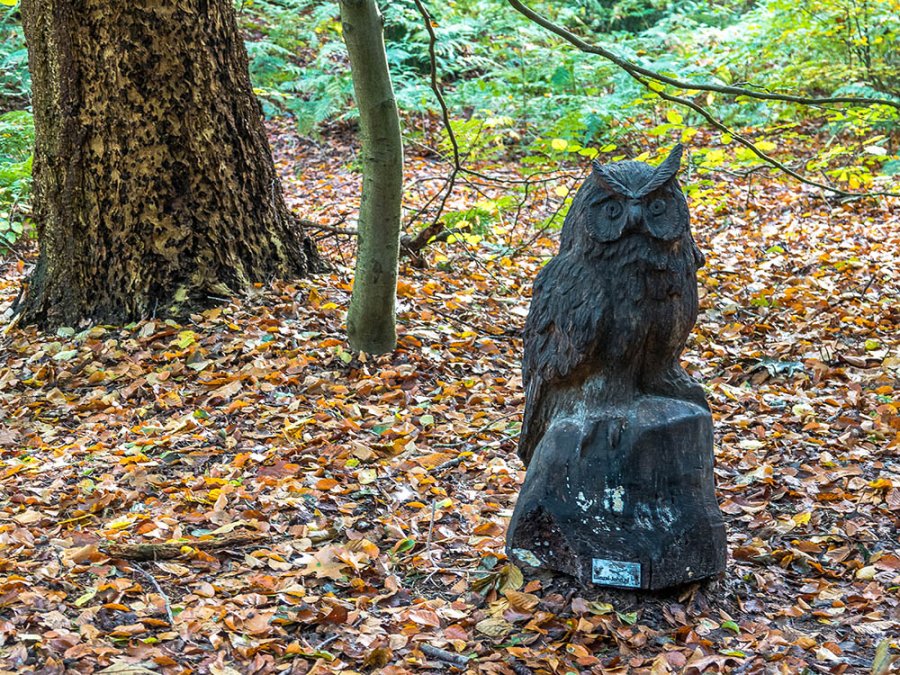 Elfbergen bosbeesten Elfbergen bosbeesten