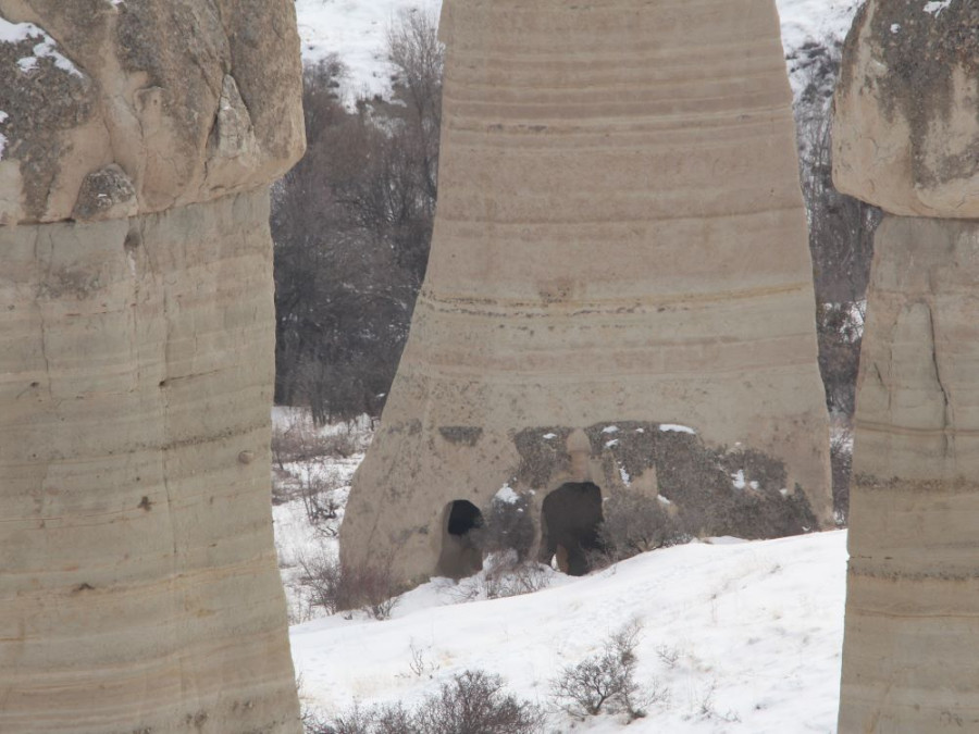 Liefdesvallei Cappadocië