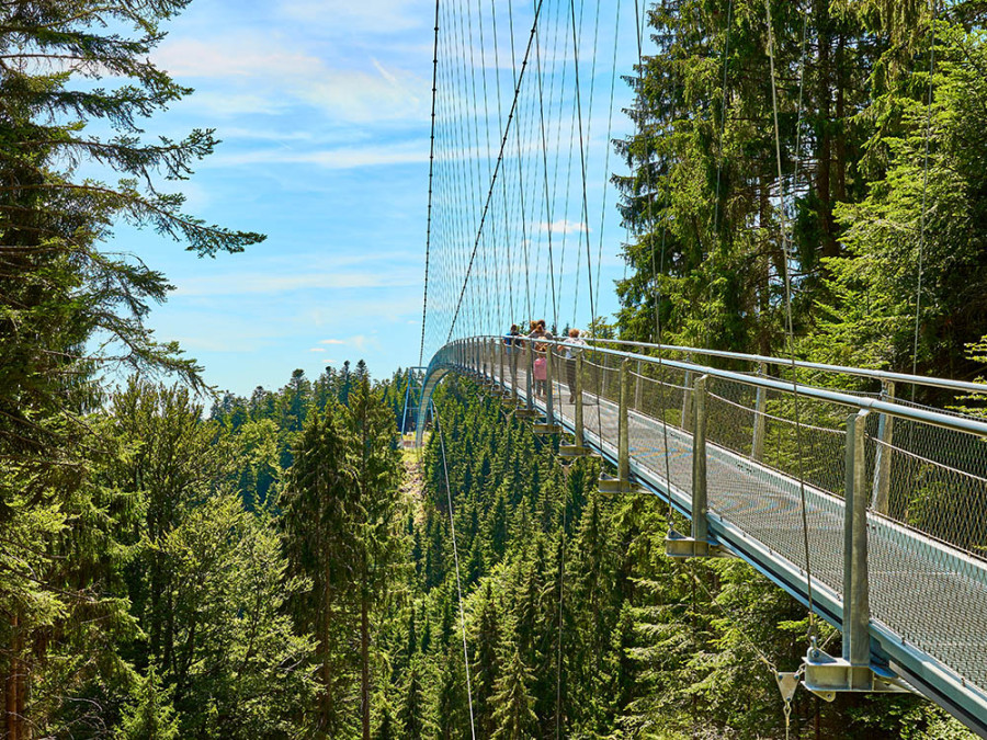 Wildline hangbrücke