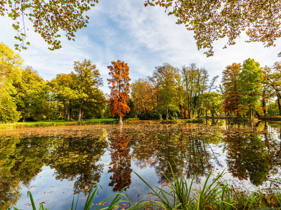 Saksen-Anhalt in het najaar