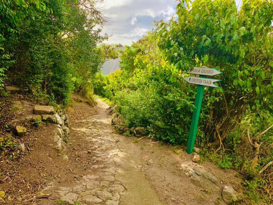 Crispeen Trail Saba