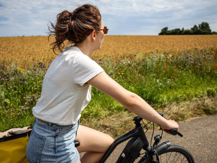 Fietsen langs de Kocher en Jagst Fietsen langs de Kocher en Jagst