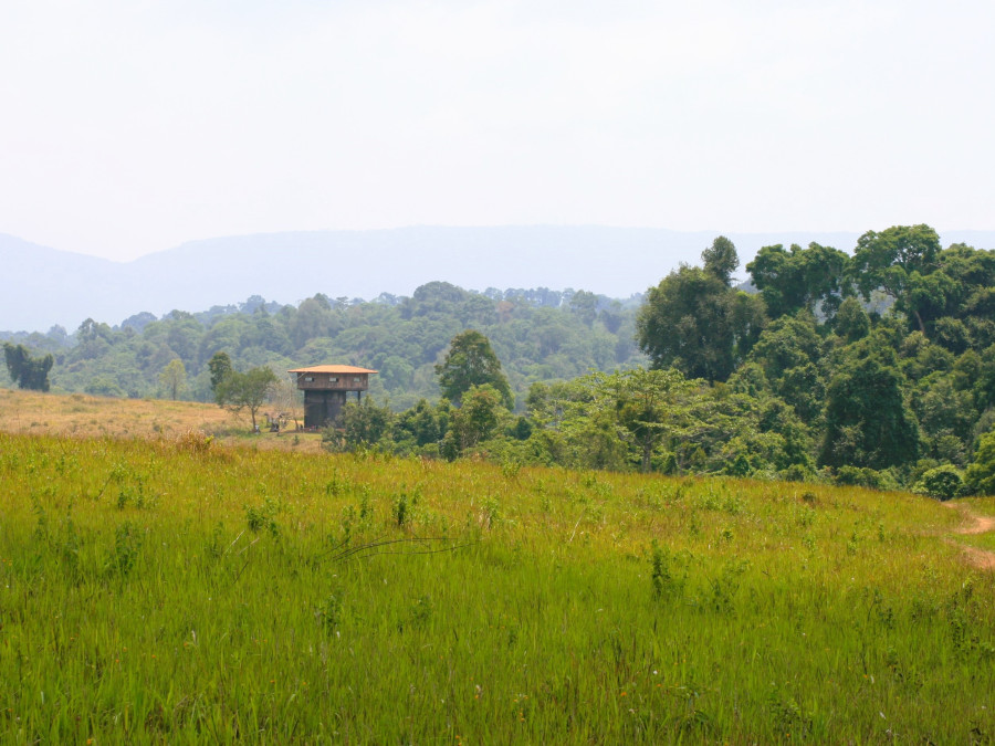 Khao Yai Landschap