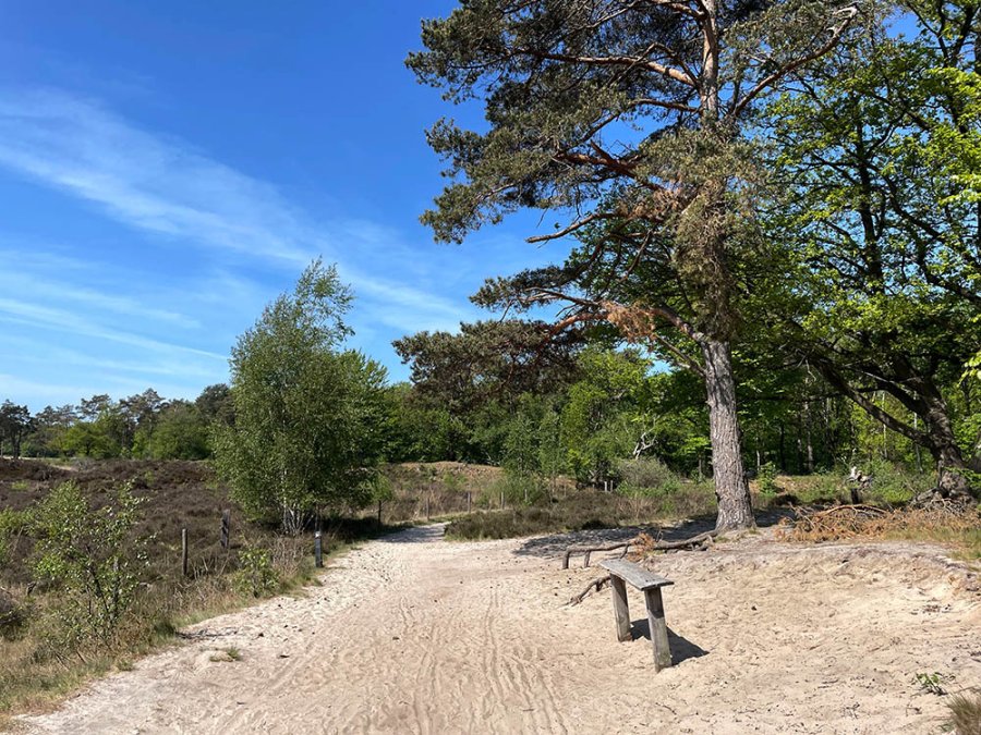 Bakkeveensterduinen