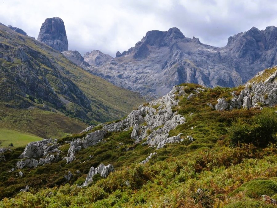 Naranjo de Bulnes