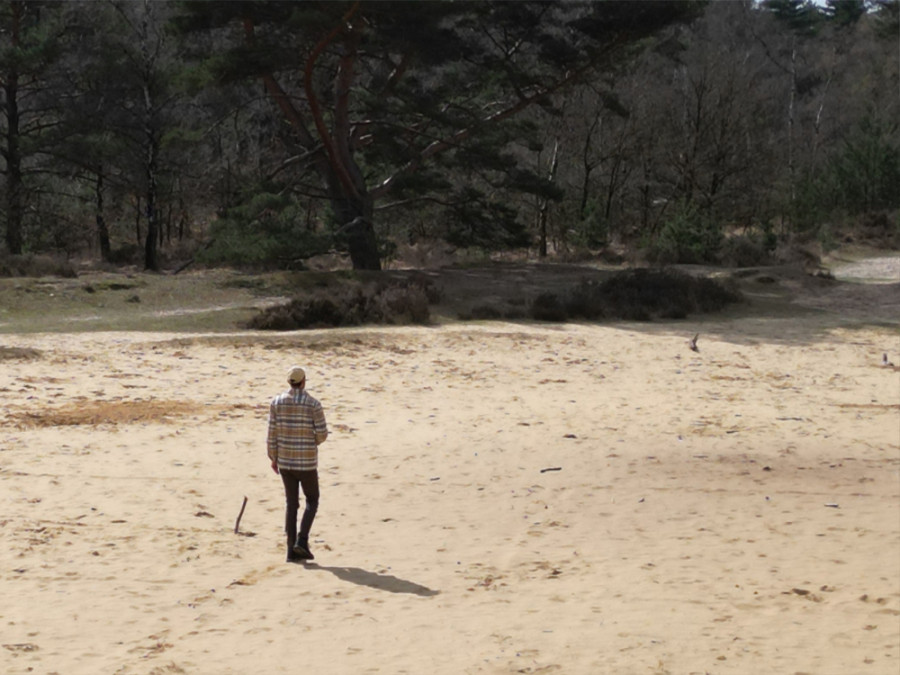 Wandelen Zoom-Kalmthoutse Heide