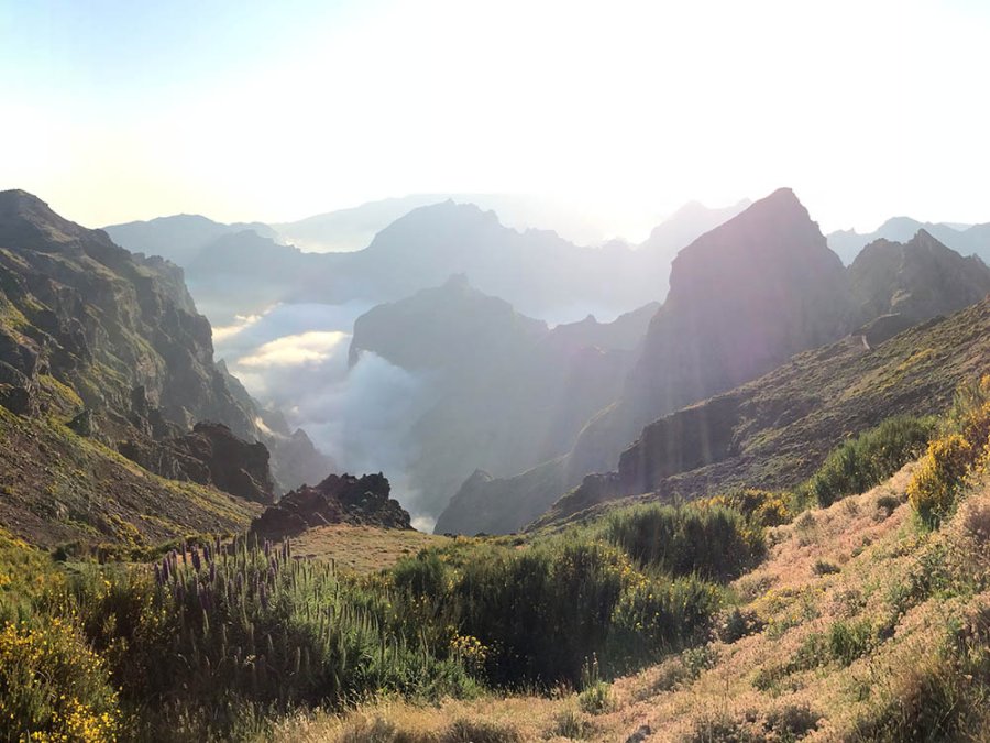 Pico's op Madeira Pico's op Madeira