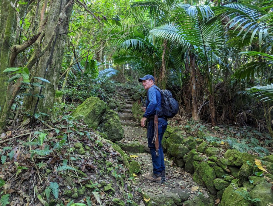 Jungle trail Saba
