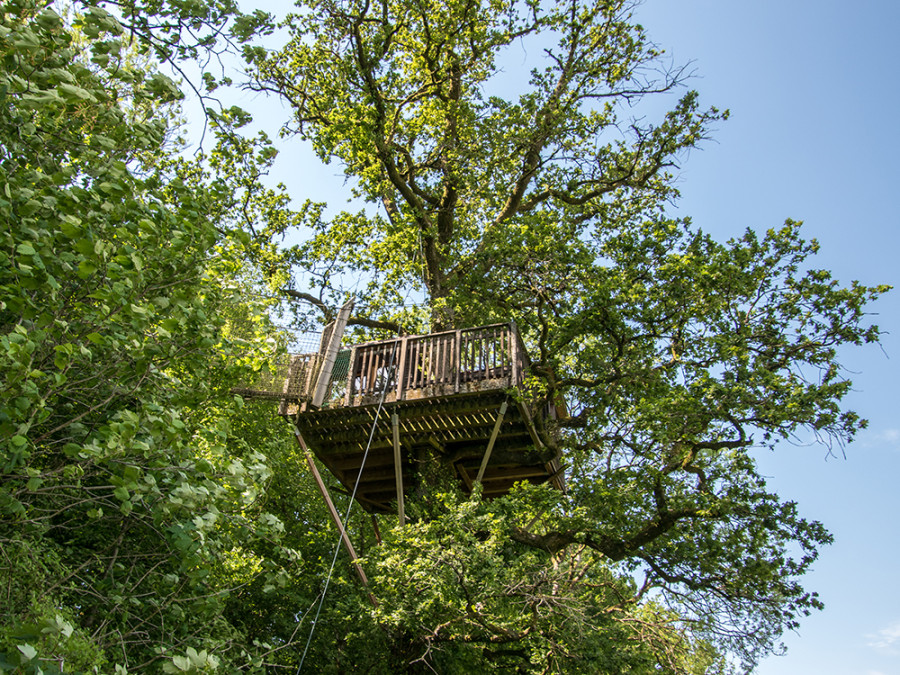 Boomhut Chene Perche Boomhut Chene Perche