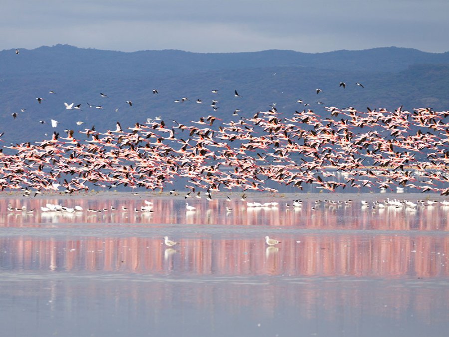 Reisroute Tanzania Nomads