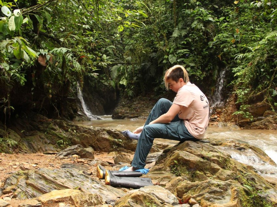 Trekking jungle Trekking jungle