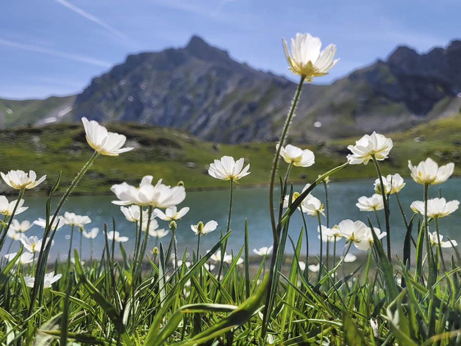 Lac de l’Oule Lac de l’Oule