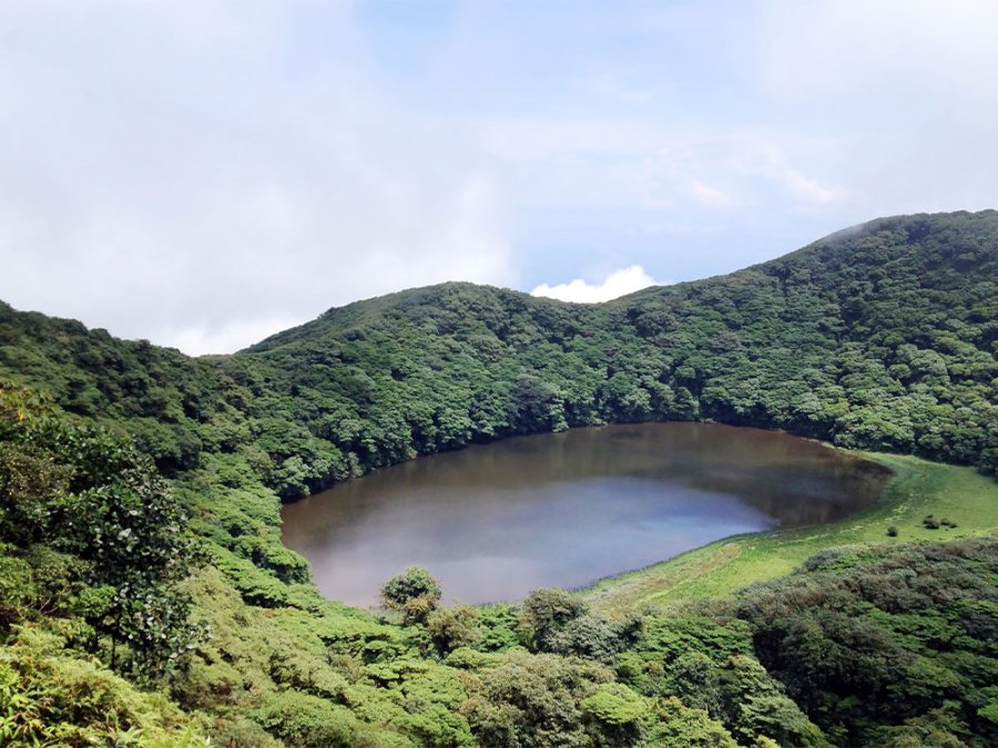 Maderas Nicaragua Maderas Nicaragua