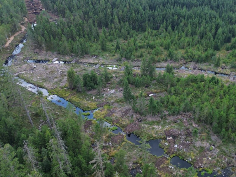 Tanner moor muren in grond