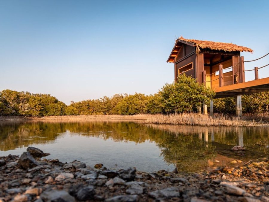 Purple Island Qatar Purple Island Qatar