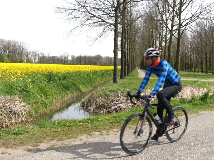 Fietsen in de Betuwe