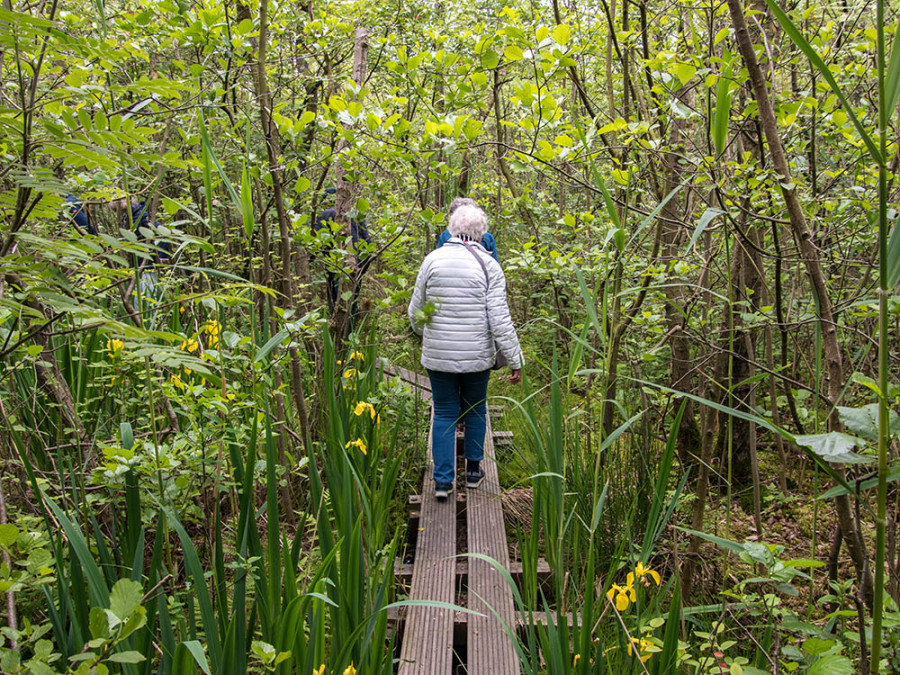 Naardermeer wandelen