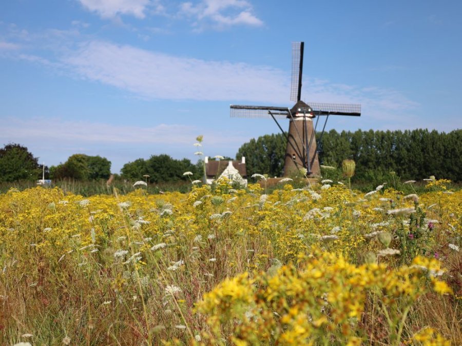 Mooiste wandelroutes Brabant