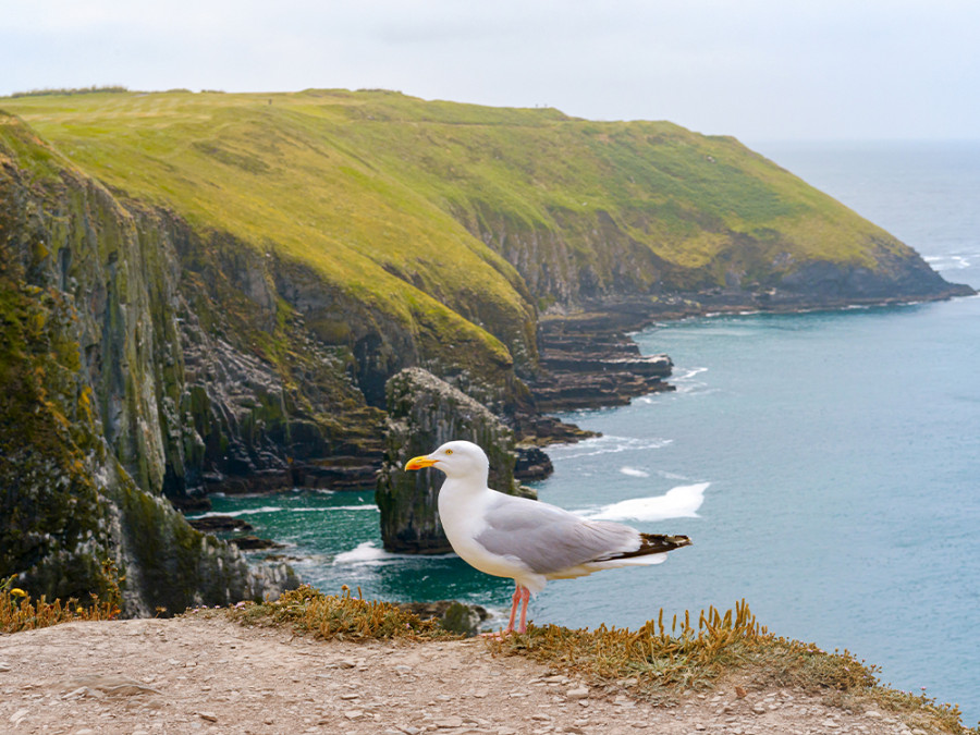 Mooiste plekken County Cork