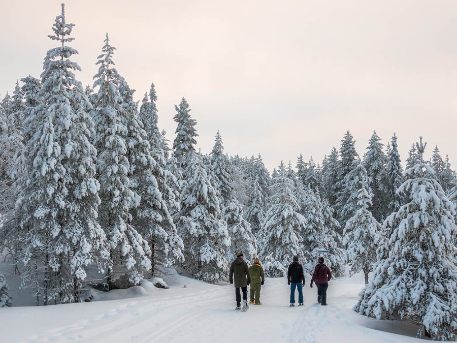 Sneeuwschoenwandelen Poiso