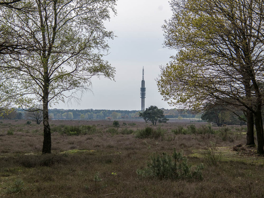 Westerheide