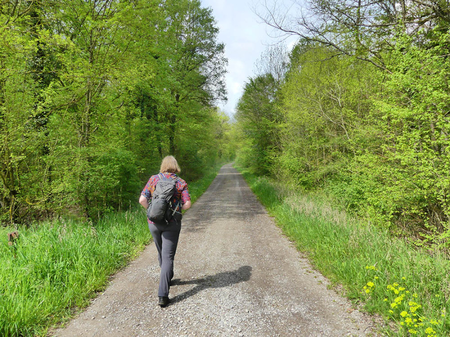 Steigerwald wandelen